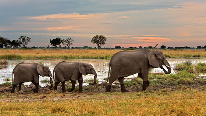 23458-safari-by-water-land-zimbabwe-namibia-botswana-8c.jpg