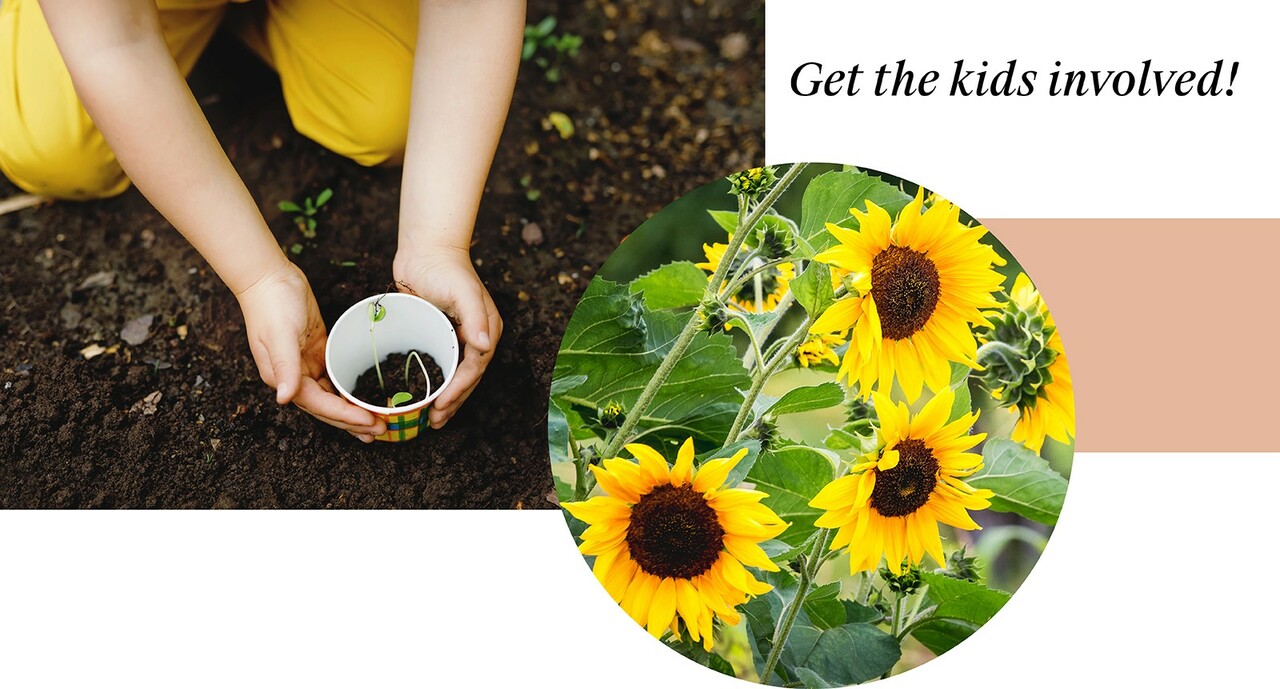 Garden Ideas: What to Plant for Summer