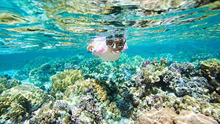14677-florida's-fragile-coastal-treasure-snorkel-coral-reefs-smhoz.jpg