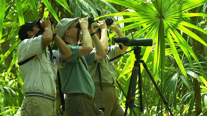 Birding Tours in Ecuadorian Andes