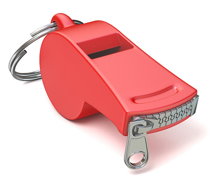 High Court Limits Scope of Whistleblower Law