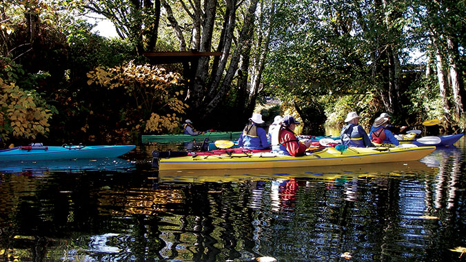 South Carolina kayaking the Lowcountry