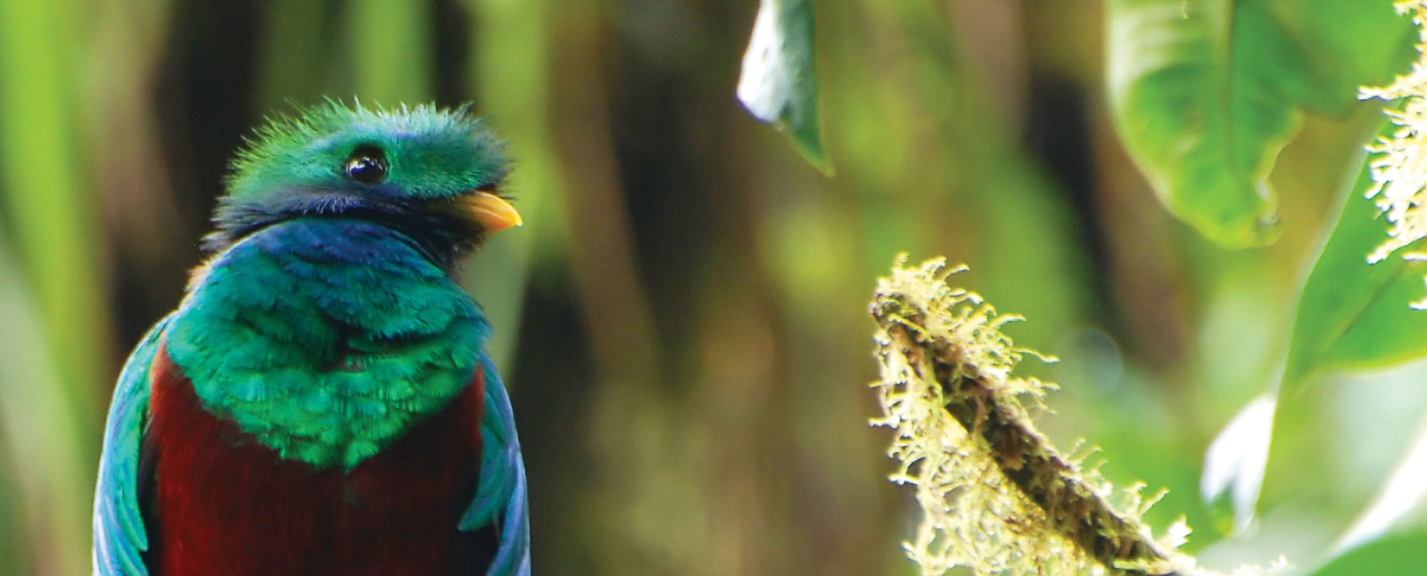 Birding Tours for Seniors