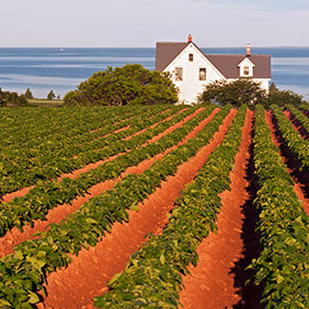 Prince Edward Island Trips