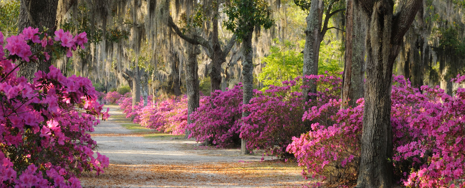 Savannah, Georgia