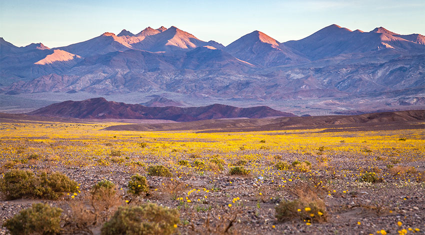 National Parks