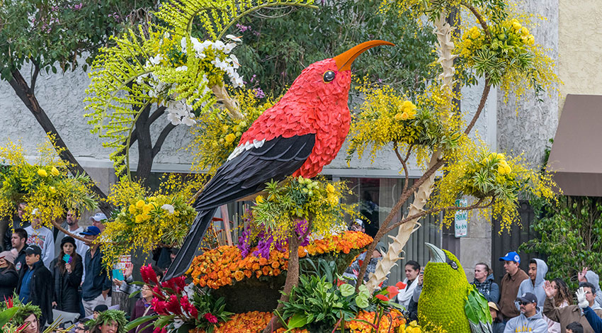 Rose Parade