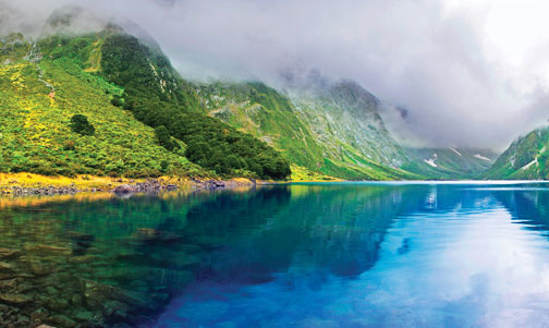 Mountain Cove, New Zealand