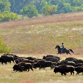 Mount Rushmore, Black Hills & Badlands