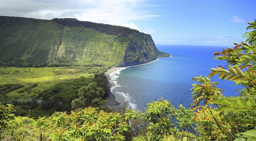A wide shot of lush Waipio Valley in Hawaii