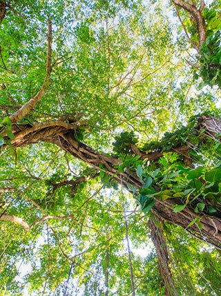 11586-the-best-of-costa-rica-exploring-natural-wonders-vert.jpg