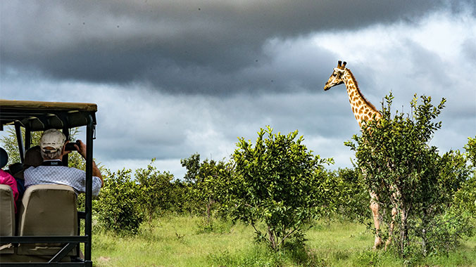 African Safari Tours