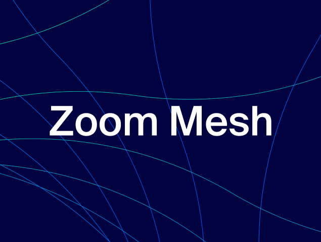zoom mesh